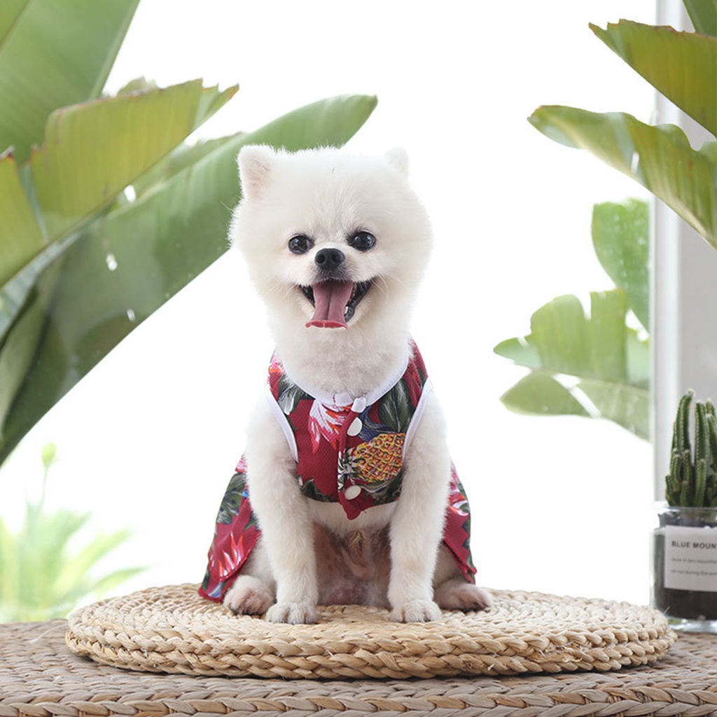 Đầm Phong Cách Hawaii Cho Thú Cưng