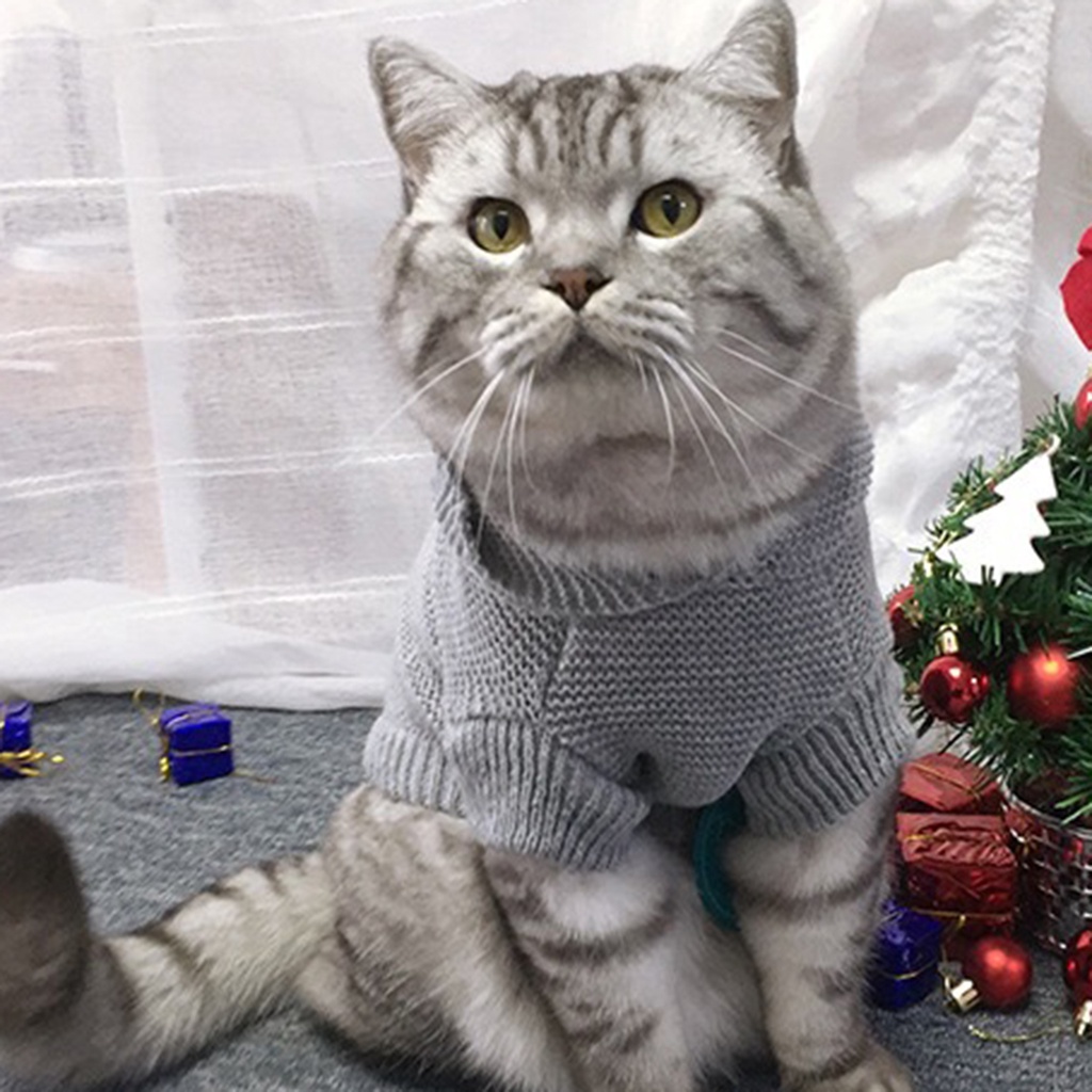 Áo len có mũ giữ ấm mùa đông thân thiện với da dành cho mèo cưng