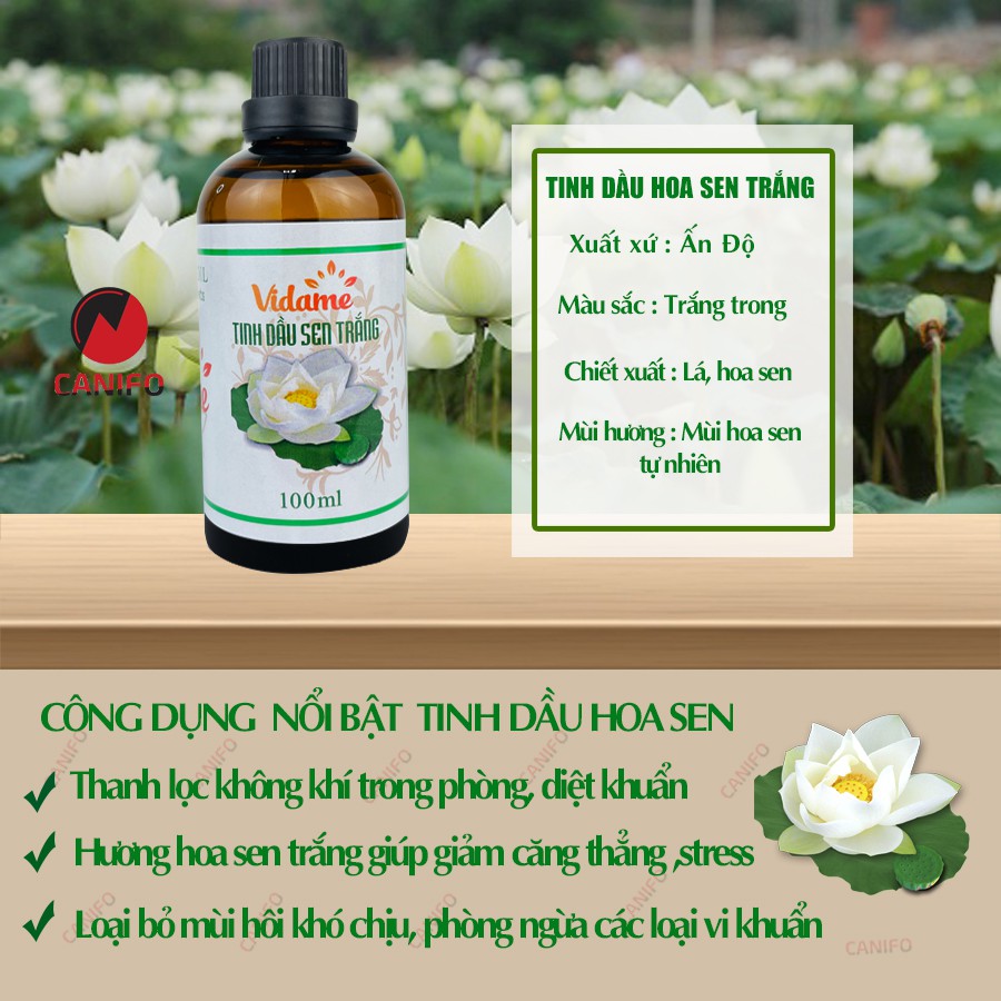 Tinh dầu hoa sen trắng 100ml Canifo có kiểm định chất lượng - Tinh dầu hoa sen nguyên chất, làm thơm nhà, khử mùi