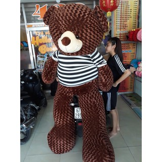 [Rẻ Nhẩt] Gấu Teddy Áo thun 1 mét (100cm) Cao cấp