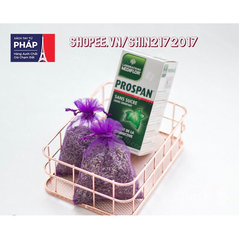 Nụ hoa Lavender ( tặng kèm Siro Prospan 100ml pháp)
