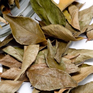 (Mã NSF02P125 giảm 25K) Lá mắc mật khô, lá móc mật khô 10k/ gói to