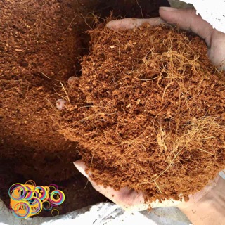 Mụn Xơ Dừa Trồng Cây 1KG