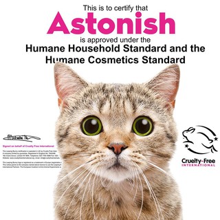 Bình xịt vệ sinh dụng cụ bếp Astonish C6700 750ml