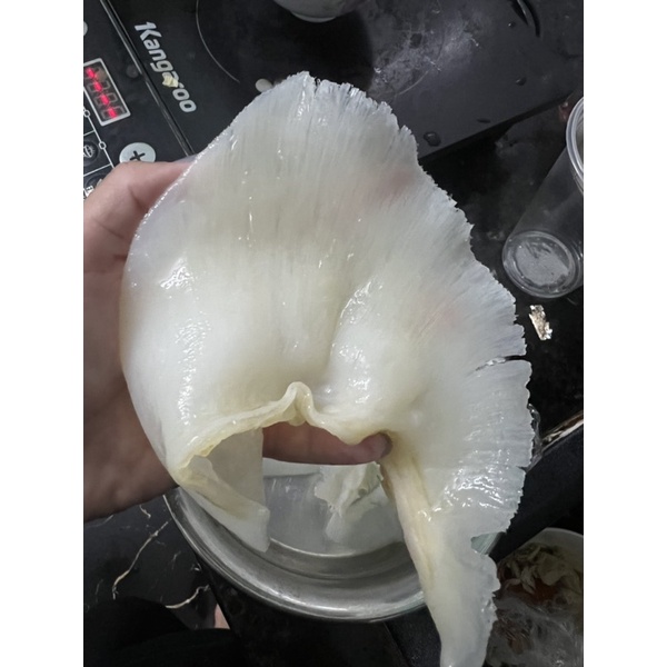 Vi đuôi nấu súp bào ngư  loại 1