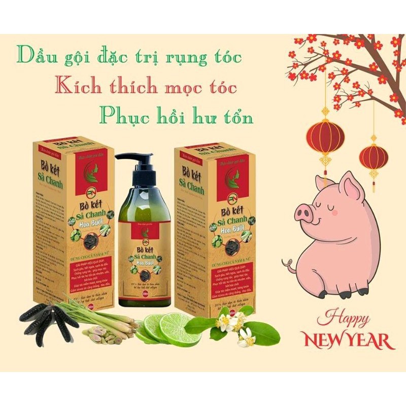 Dầu gội Bồ Kết Sả Chanh Hoa Bưởi 300ml