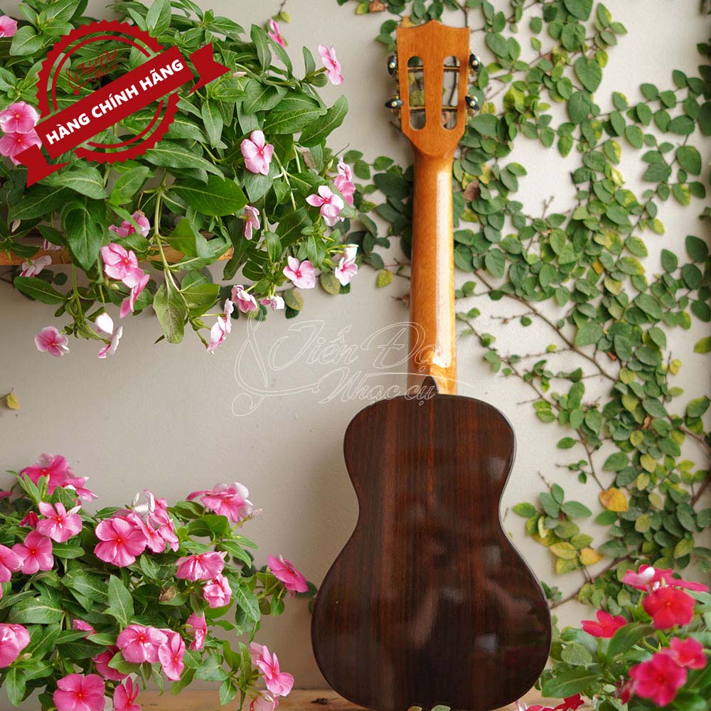 Đàn Ukulele Concert VALOTE VA-24R01, Âm Thanh Trong Trẻo