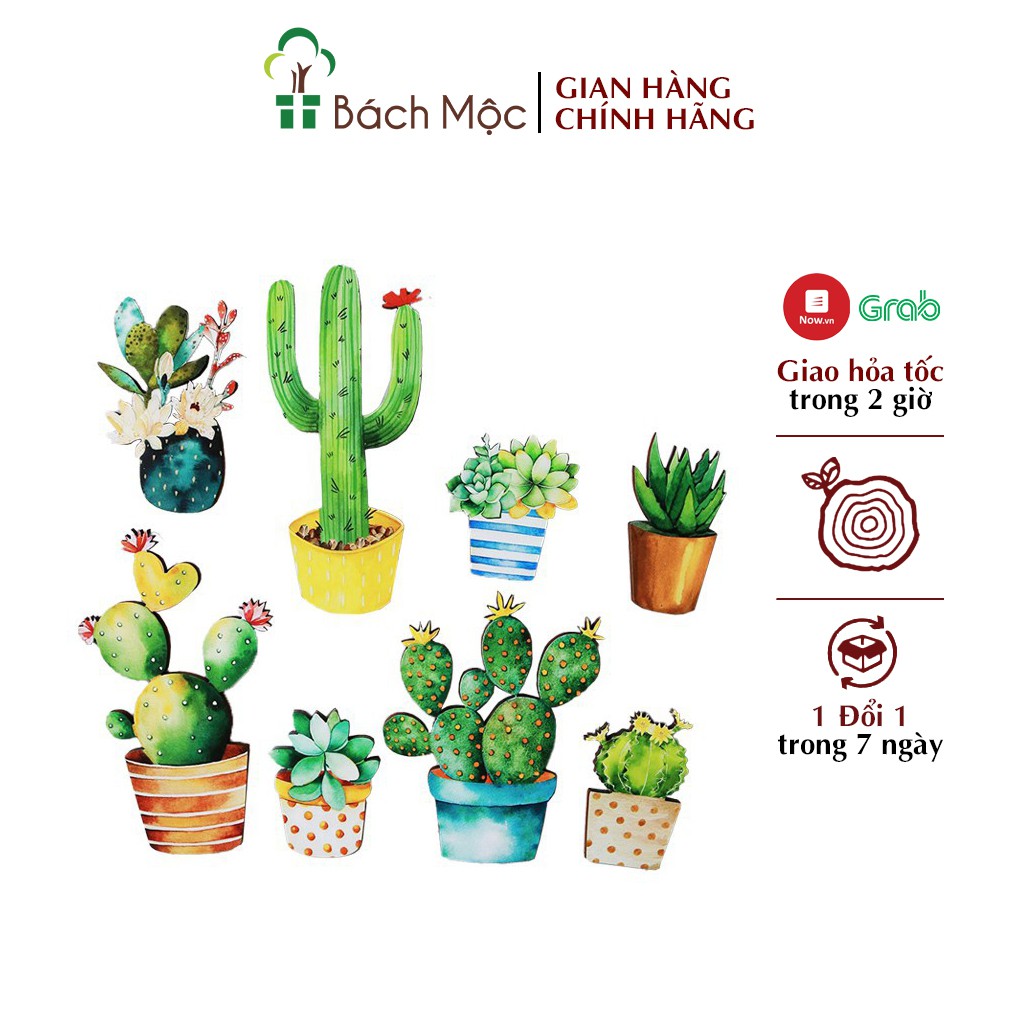 Set Decor Fomex Xương Rồng BÁCH MỘC Dán Tường Trang Trí Nhà Cửa
