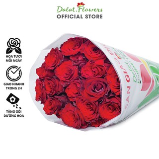 Hoa Hồng Đỏ Ecuador Đà Lạt - Hoa tươi cắm trang trí nhà cửa, văn phòng