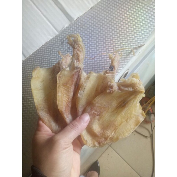 [500g]Khô mực câu mini [CHUẨN MỰC CÂU NGHỆ AN 100%] size 3-4 ngón tay tầm 80-90 con/kg, ngon, ngọt, dai dai khi nướng