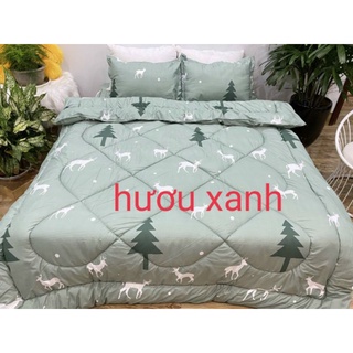 Bộ chăn phao ga gối polycotton 5 món