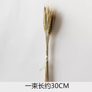Lọ hoa và hoa khô decor