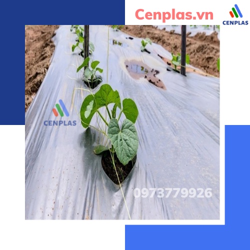 10m2 màng phủ nông nghiệp-1.0m*10m*25micro-Màng Pe phủ đất, nilon lót sàn trải nền đổ bê tông