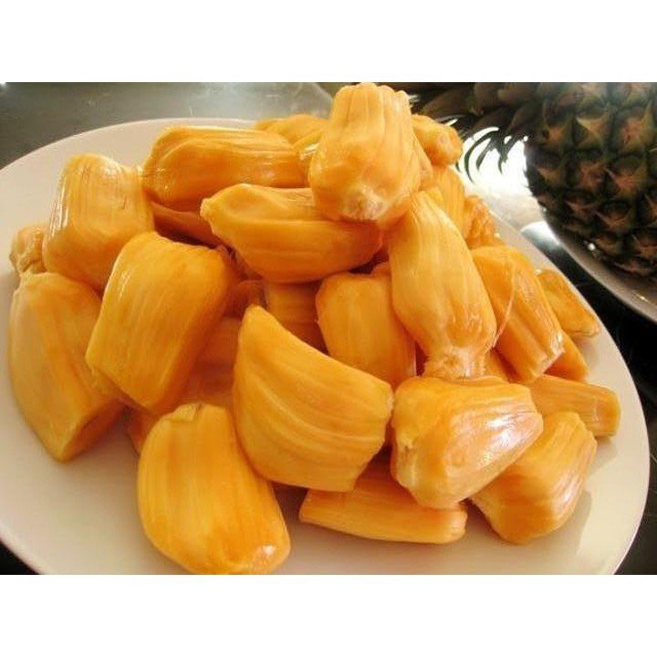 Mít nghệ- được ghép từ mắt mẹ f1 CHUẨN GIỐNG--bảo hành cho bà con
