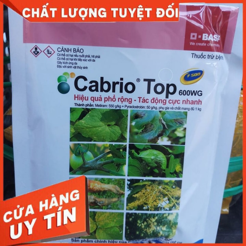 Thuốc Trừ Bệnh Cabrio Top 💖