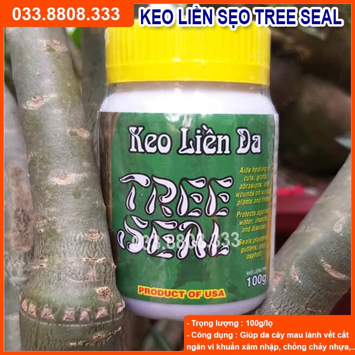 BỘ DỤNG CỤ  CHUYÊN GHÉP UỐN CÂY ( DAO GẬP CÁN GỖ - DÂY XANH 50M- KEO GHÉP CÂY TREE SEAL 100ML)