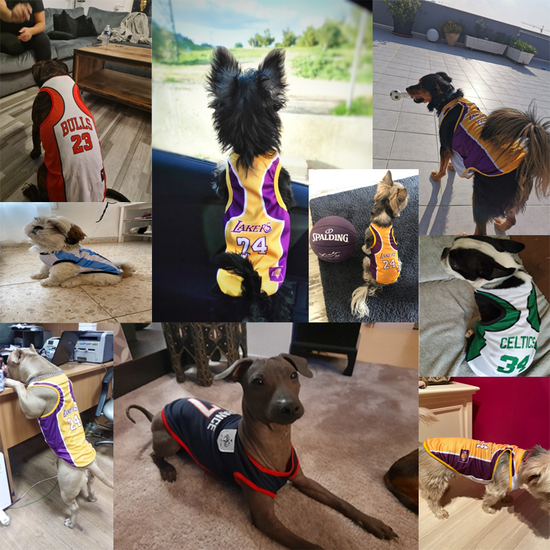 Áo không tay in hình đá bóng cá tính cho thú cưng