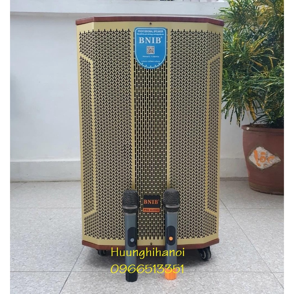 Loa karaoke bluetooth hát hay giá rẻ, kèm micro kim loại không dây. kết nối tivi. chạy bình ắc quy và điện trực tiếp