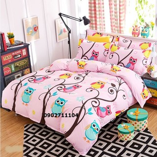 bộ ga giường cotton cao cấp