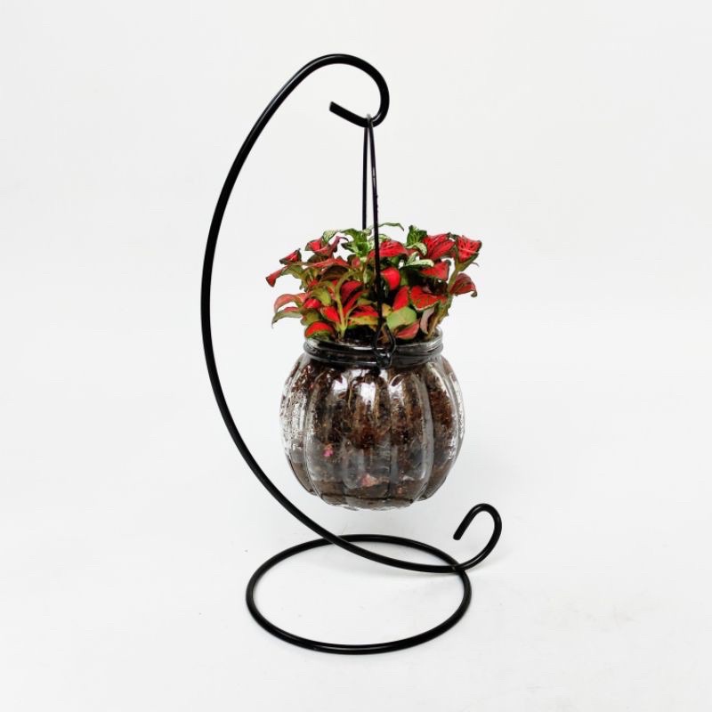 Giá đỡ móc treo kim loại dùng để treo chậu cây chậu nuôi cá 23cm
