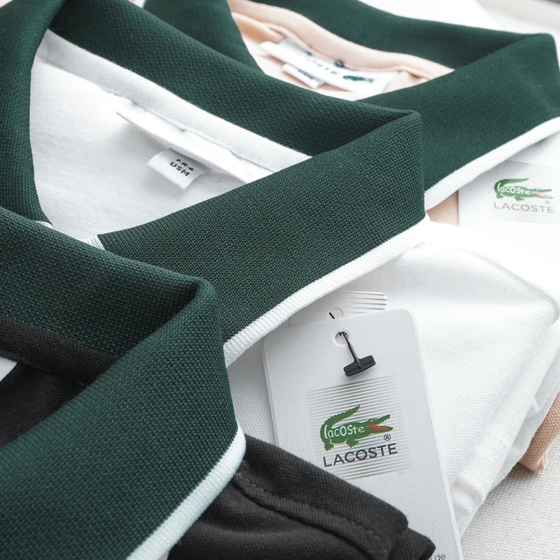 Áo thun nam polo có cổ thun cotton thấm hút tốt hàng cao cấp xuất xịn