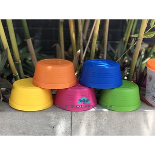 Bộ 5 Chén Màu Rainbow 5P Lock&Lock - HPP511S5