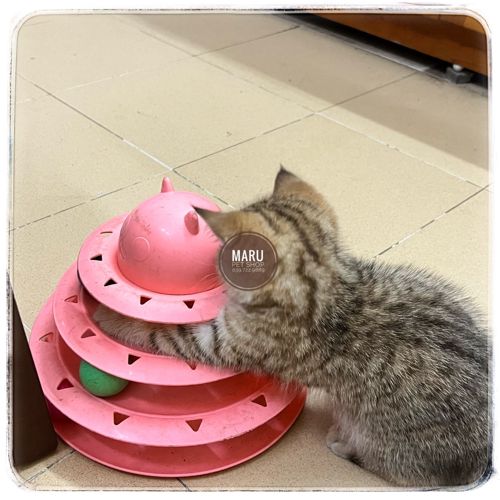 Tháp bóng cho mèo tháp bóng 3 tầng hàng công ty chính hãng