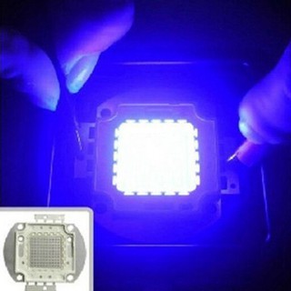 Chip đèn LED UV chuyên dụng