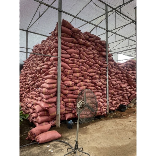 1 kg xơ dừa đã qua xử lý