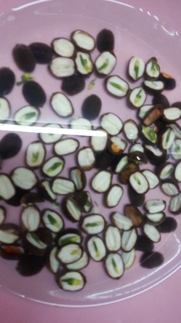 Hạt sen khô đen chẻ đôi , 500gr