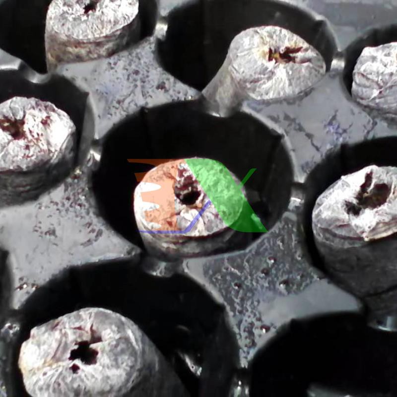 Hộp 200 Viên nén ươm hạt, viên nén xơ dừa