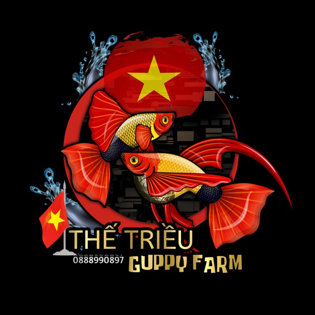 THẾ TRIỀU GUPPY FARM VN
