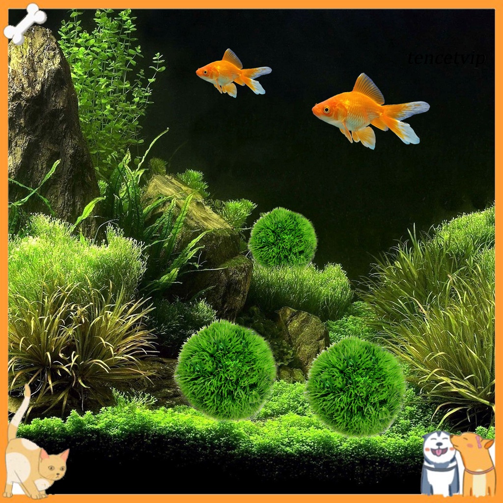 Phụ kiện trang trí bể cá cảnh hình quả bóng tảo màu xanh lá độc đáo