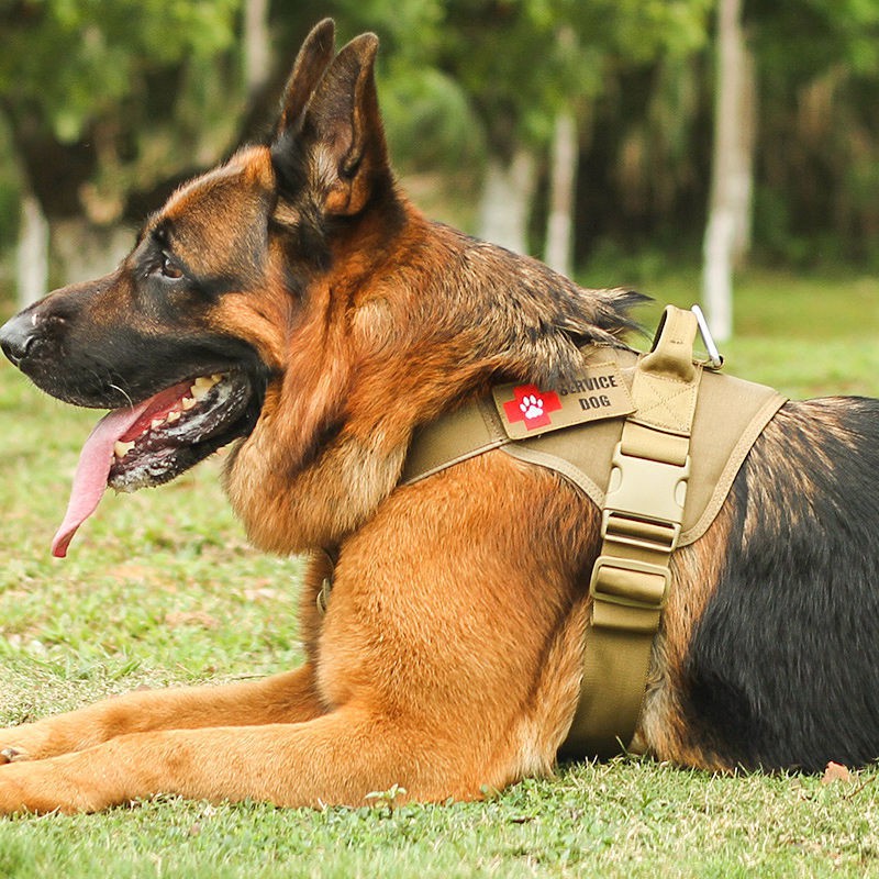 Tactical Dog Quần áo Vest Dây đeo ngực Cỡ nhỏ, vừa và lớn xích chó chăn cừu Đức Shepherd Golden Retriever K9