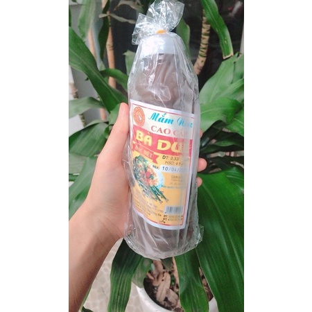 MẮM NÊM BÀ DUỆ ĐẶC BIỆT NGON MẮM NÊM HUẾ