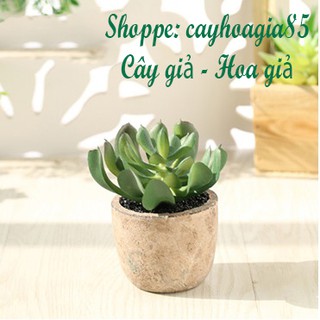 Cây giả - Chậu Sen đá (cả cây và chậu)