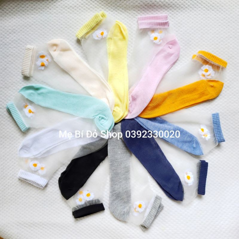 Tất Vớ Lưới Hoa Cúc Thoáng Khí Xinh Xắn