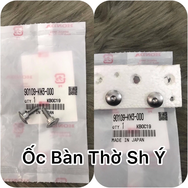 Ốc bàn thờ : Sh Ý 2006 - 2011 ( Giá 1 con )