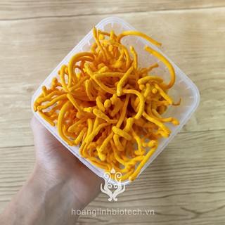[Hoàng Linh Biotech] Đông Trùng Hạ Thảo Tươi 50g