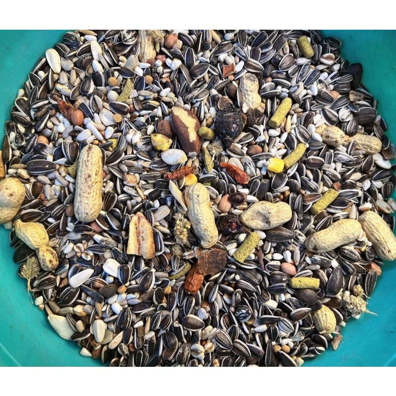 Hạt trộn cao cấp thành phần không có chất tạo màu dành cho vẹt từ xám đến Macaw gói lẻ 1kg