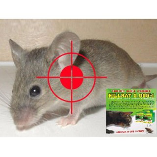 Thuốc diệt chuột KILLRAT