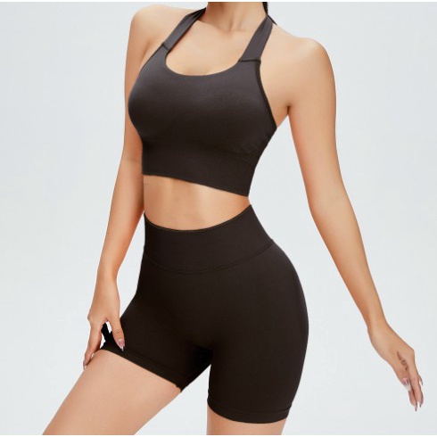 Set bộ đùi thể thao tập gym yoga nữ dệt kim cao cấp, áo bra kèm mút quần đùi chun mông cạp cao Bin Sport BN056
