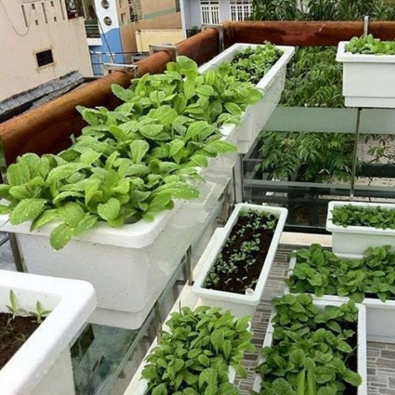 Giá Sắt Treo Chậu Hoa Ban Công dài 48x20x16cm,trồng Hoa Cây Cảnh,nuôi cá