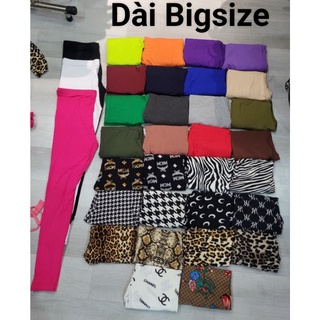 <COMBO SẼ RẺ> BIGSIZE Quần legging dài thun thái lan (hàng RAINBOW)
