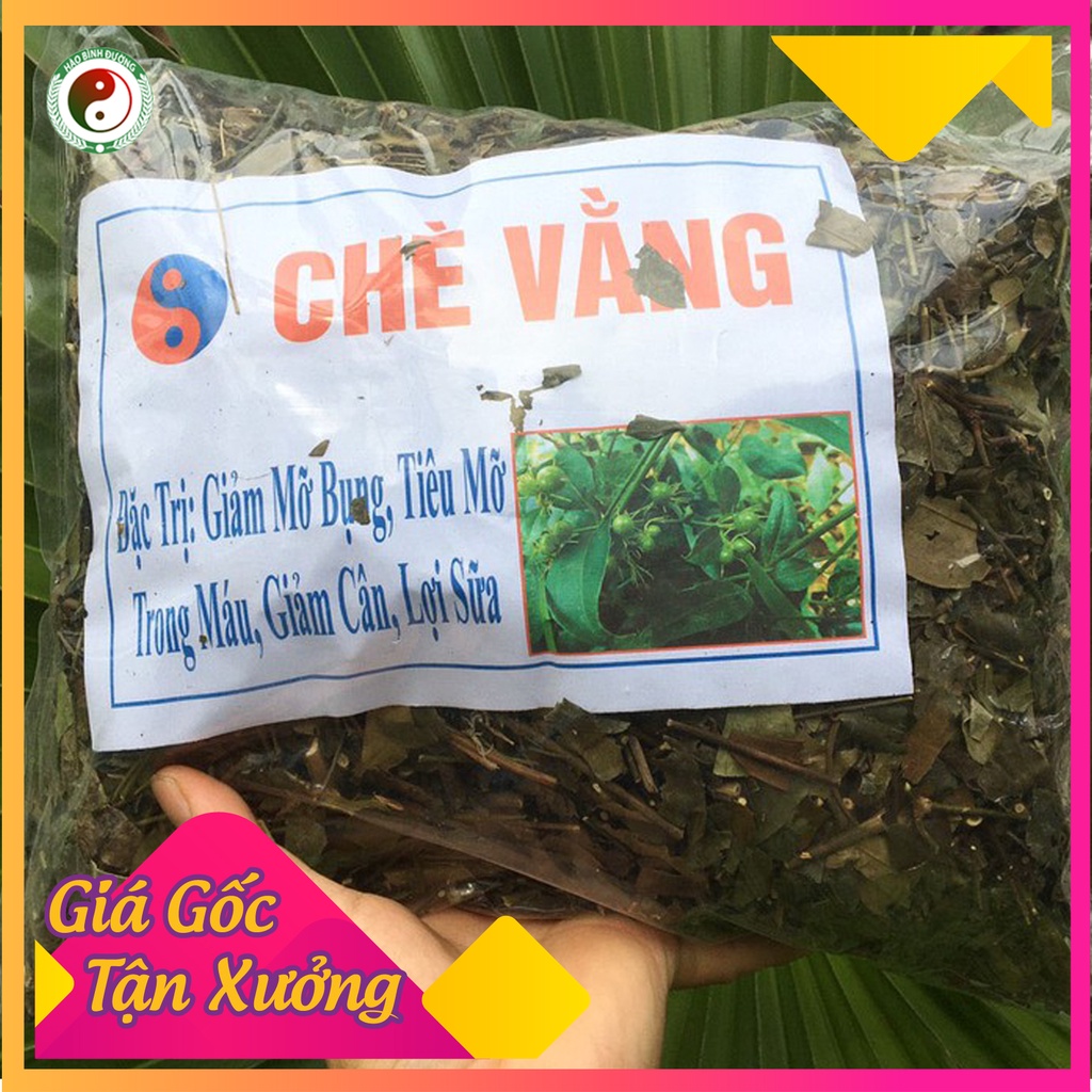 Chè Vằng Sẽ Sao Vàng Hạ Thổ Giúp Giảm Cân Tiêu Mỡ Thừa Sau Sinh