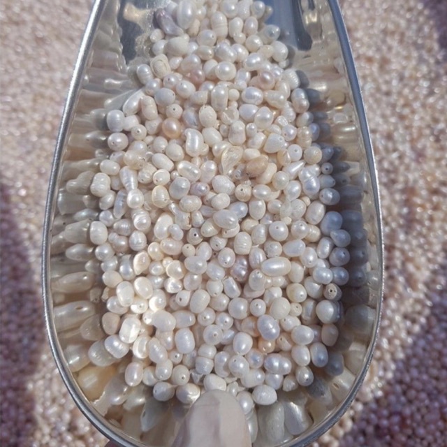 Bột ngọc trai nguyên chất 100% organic - trắng da, ngừa mụn, trẻ hoá , trang điểm | Bột Natural
