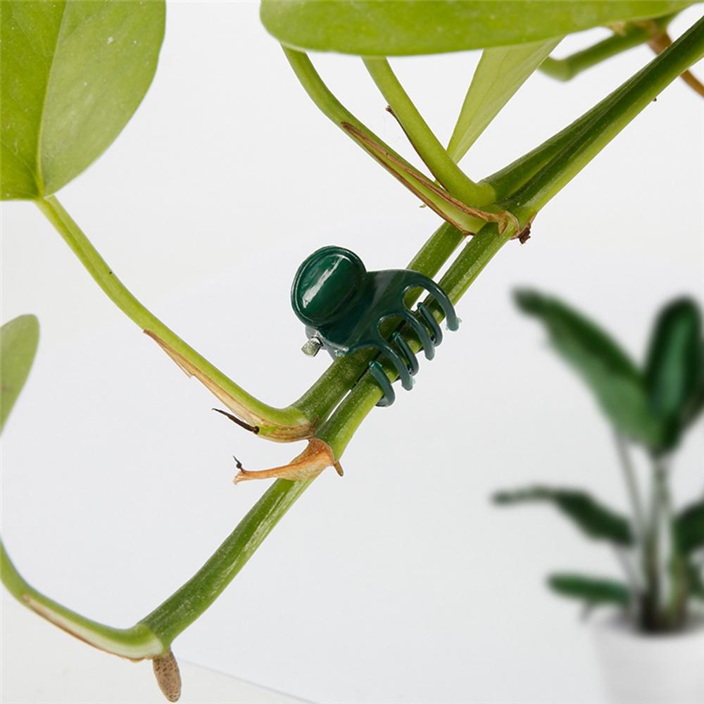 SOMEDAYZL Set 100 Kẹp Hỗ Trợ Trồng Cây Tiện Lợi