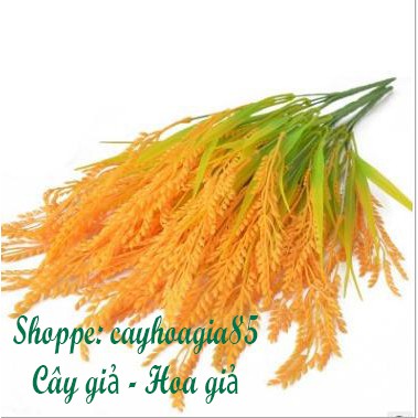 Cây giả - cây lúa nhựa