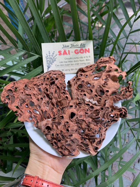 Cây Bí Kỳ Nam Khô 500g