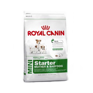 [1kg] Thức ăn hạt cho chó Royal Canin Mini Starter – Mother & Babydog